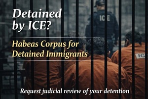 Habeas Corpus for Immigrant Detention